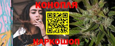 гидра Заволжье